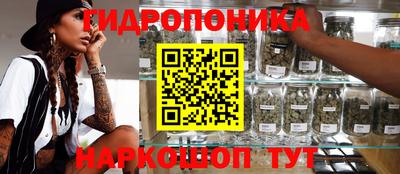 бошки Ливны